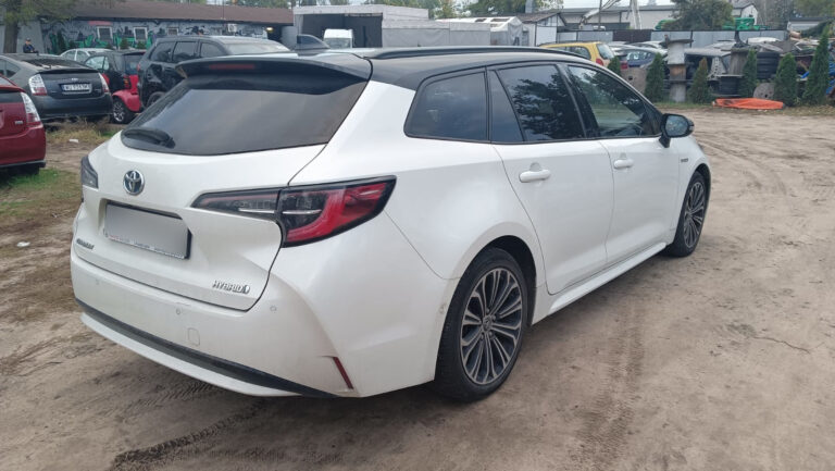 Zdjęcie WhatsApp 2024-10-13 o 22.33.41_437a4e45 przerobione